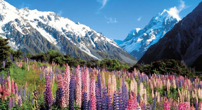 Tourism New Zealand